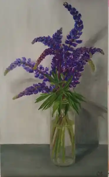 Люпины.