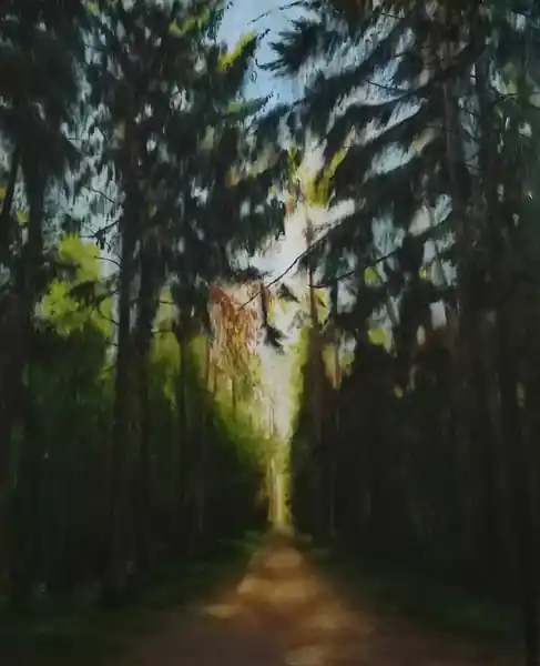 "Иду на свет"