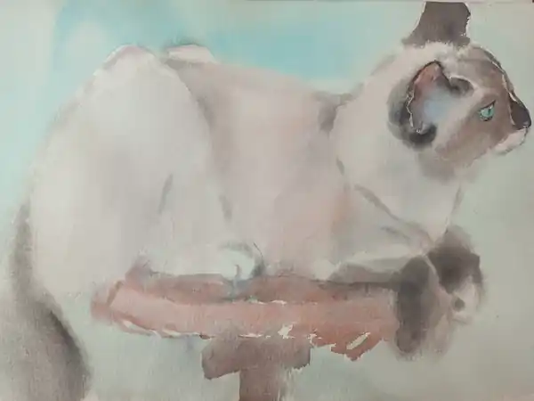 Кошка