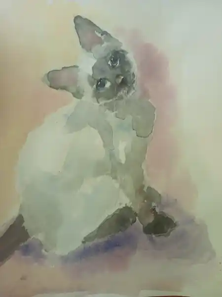 Тайская кошка