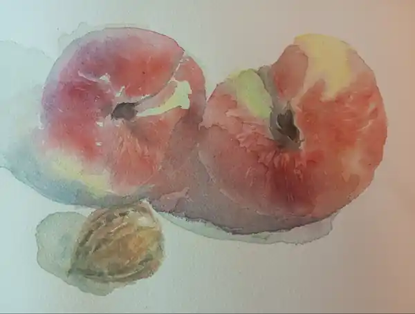 Персики