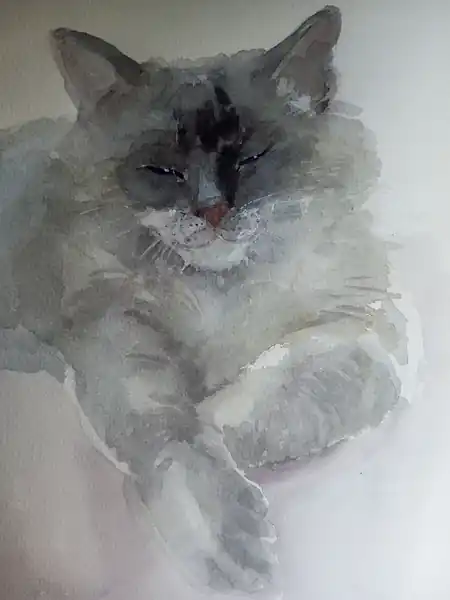 Портрет кота