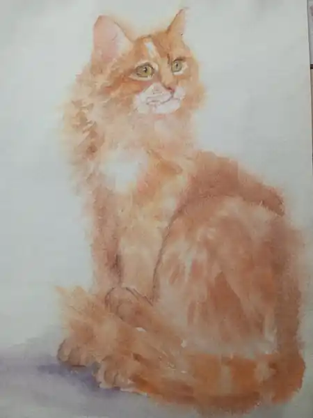 Рыжая кошка
