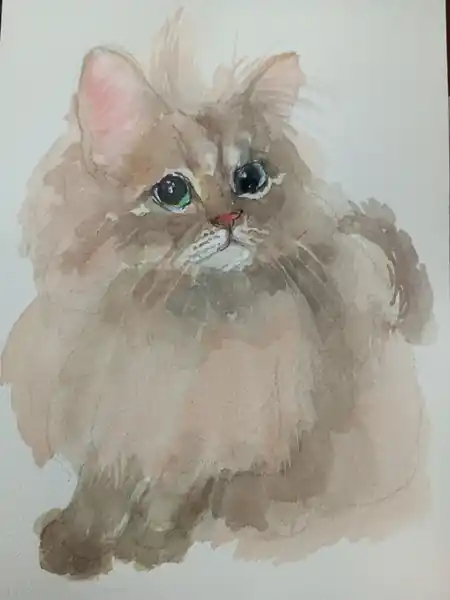 Котенок