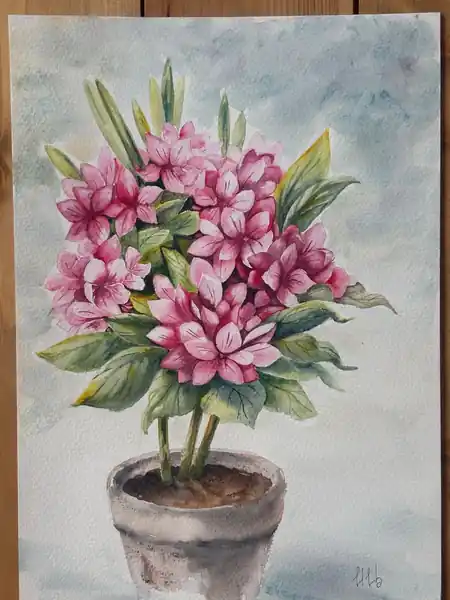 Работа Ирина Цветкова