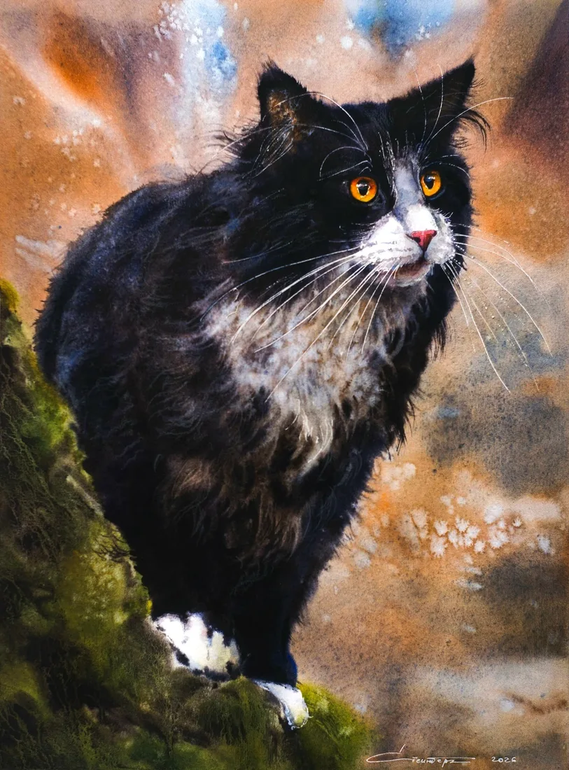 Картина «Лесной кот» — Юлия Стейнберг, Анималистика, Акварель проф., бумага хлопок, 37х27